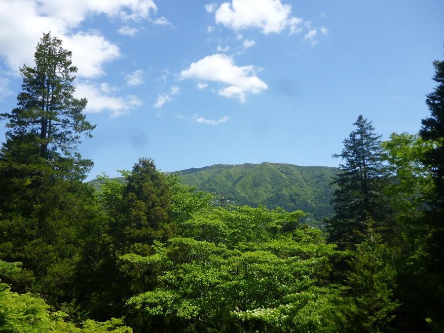 Kaze No Ne Hotel Hakone Ngoại thất bức ảnh